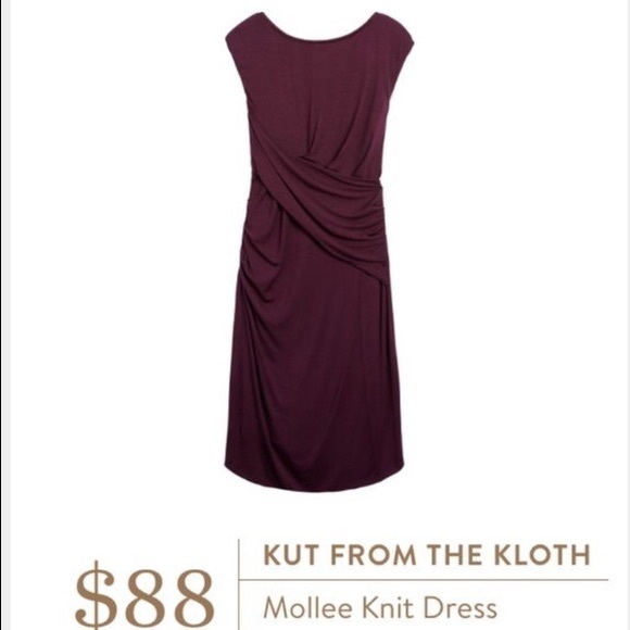 Kut from the Kluth Mollee Knit Dress - Stitch Fix - Picture 8 of 8